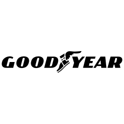 Good year logo